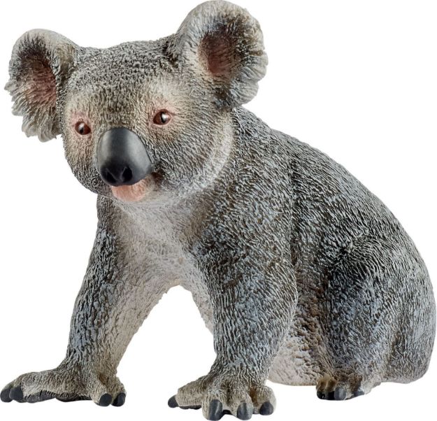 Bild von schleich® Wild Life 14815 Koalabär, ab 3 Jahre