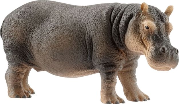 Bild von schleich® Wild Life 14814 Flusspferd, ab 3 Jahre