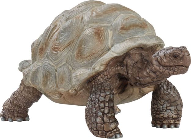 Bild von schleich® Wild Life 14824 Riesenschildkröte