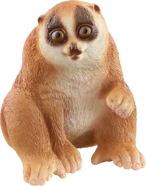 Bild von schleich® Wild Life 14852 Plumplori
