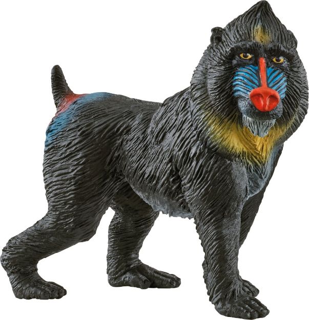 Bild von schleich® Wild Life 14856 Mandrill