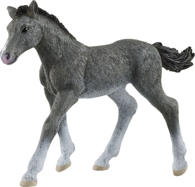 Bild von schleich® Horse Club 13944 Trakehner Fohlen
