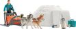 Bild von Schleich WL Antarktis Expedition Set