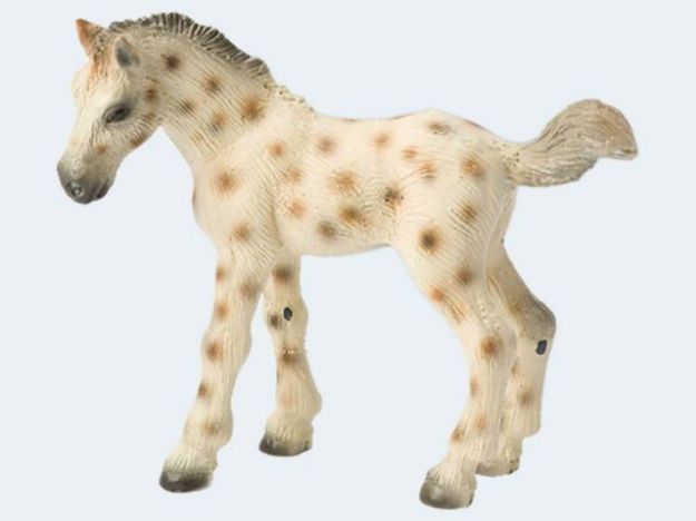 Bild von Bully Knabstrupper Fohlen 7cm - 62673