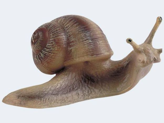 Bild von Bullyland Weinbergschnecke - 64375