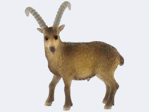 Bild von Bully Steinbock 9cm - 62755