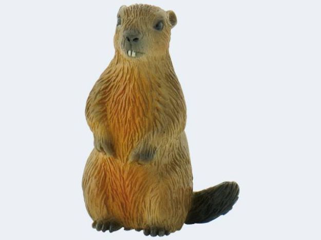 Bild von Bully Murmeltier 5cm - 64455