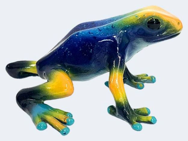 Bild von Bully Baumsteigerfrosch Tumucumaque 4,5cm - 68522