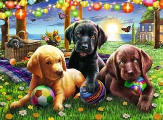 Bild von Puzzle XXL Hunde Picknick 100T - 12886