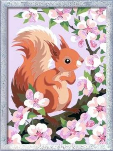 Bild von Neugieriges Eichhörnchen - 20064