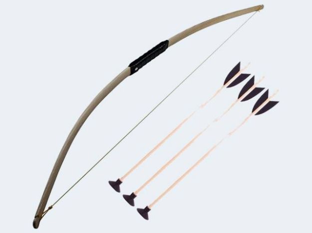 Bild von Sport-Bogen 114cm mit 3 Pfeilen - 1201