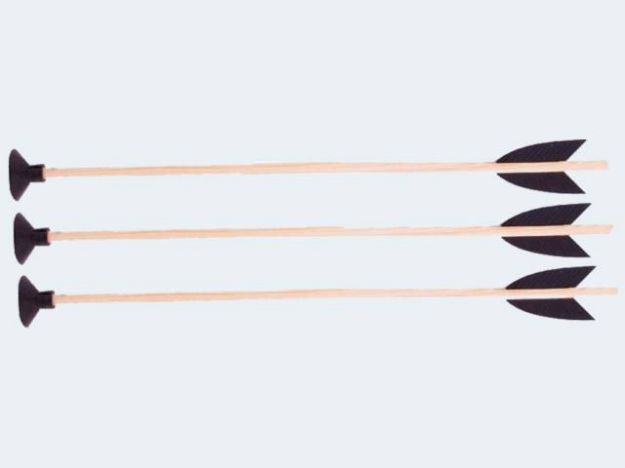 Bild von Pfeil 50cm Saugnapf - 1202