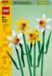Bild von LEGO Botanicals - 40747 Narzissen