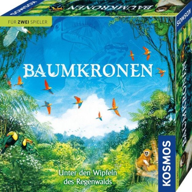 Bild von Baumkronen Zweierspiel ums Ökosystem im Regenwald - 682194