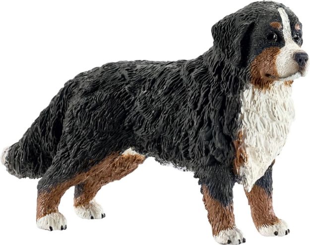Bild von schleich® Farm World Hunde - 16397 Berner Sennenhündin, ab 3 Jahre