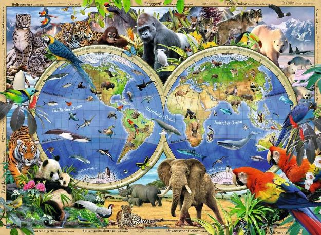 Bild von Puzzle 100T XXL Tierischum die Welt - 10540