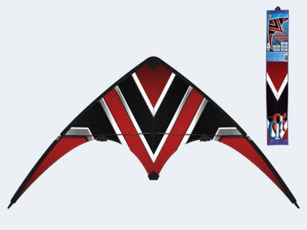 Bild von Lenkdrachen Design Loop 100x56cm - 1090