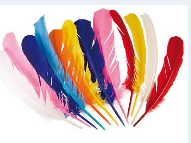 Bild von 12 Indianer-Federn 30cm - 44135