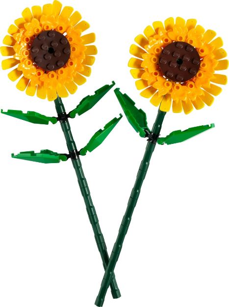Bild von LEGO Botanicals - 40524 Sonnenblumen