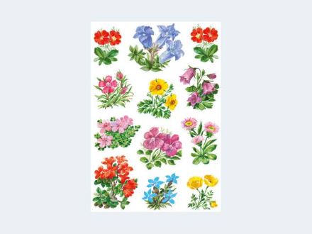 Zeige Details für Schmucketiketten Gebirgsblumen - Eine Verkaufseinheit = 10 Stück - 3582 Bild von Schmucketiketten Gebirgsblumen - Eine Verkaufseinheit = 10 Stück - 3582