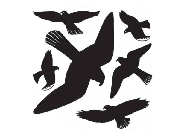 Bild von Warnvögel 29x29cm schwarz - 5999
