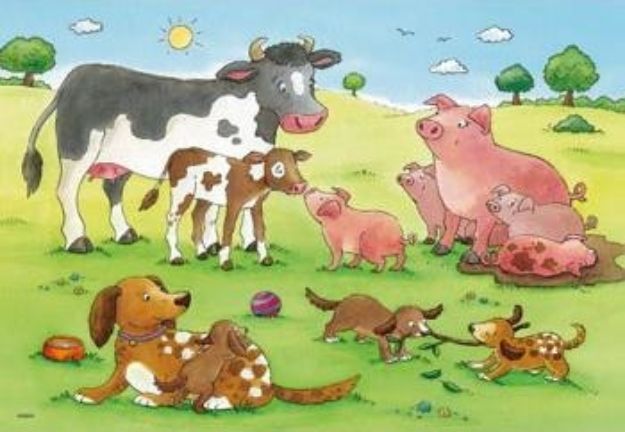 Bild von Ravensburger 07550 Puzzle 2x12Teile - 07590