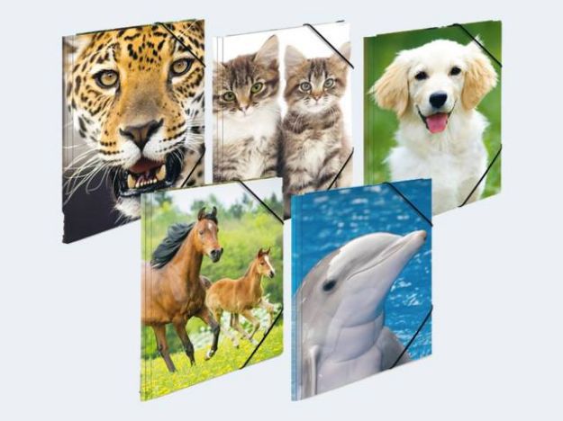 Bild von 10 Sammelmappen A3 PP  Tiermotive mit Gummizug - 7148