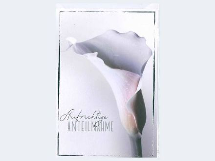 Zeige Details für Trauer Cala schlicht - Eine Verkaufseinheit = 6 Stück - 81-1334 Bild von Trauer Cala schlicht - Eine Verkaufseinheit = 6 Stück - 81-1334