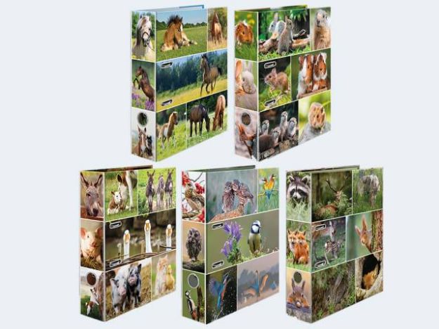 Bild von 10 Motivordner A4/7cm Tierwelten 5 Motive - 19256