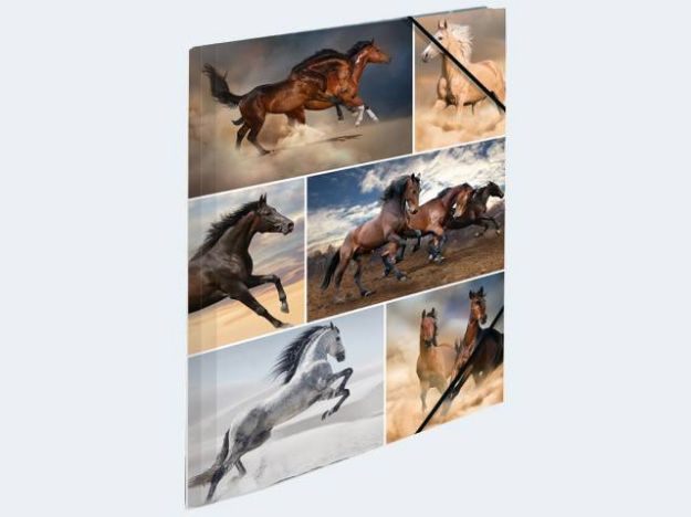 Bild von Sammelmappe A4 Pferde Pappe - 19209