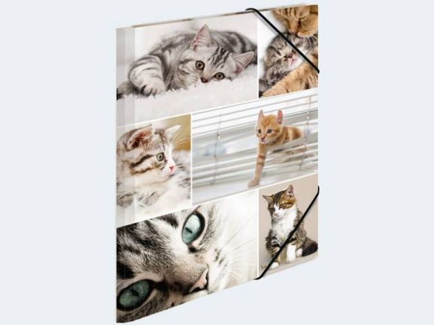 Bild von Sammelmappe A4 Katzen Pappe - 19212