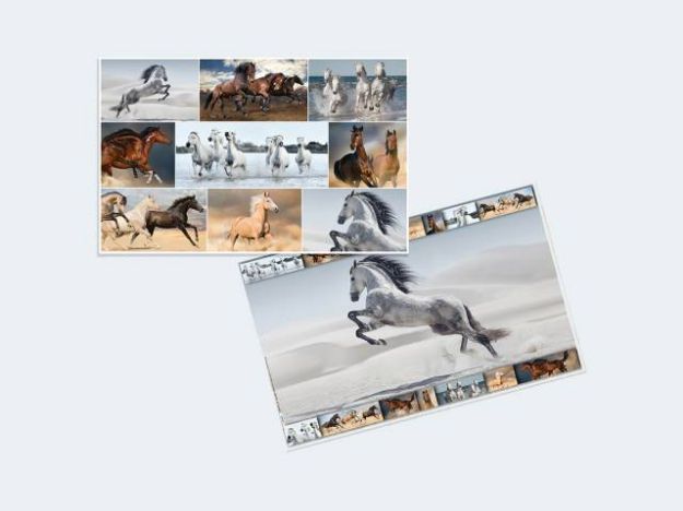 Bild von Schreibunterlage Pferd 55x35cm - 19380
