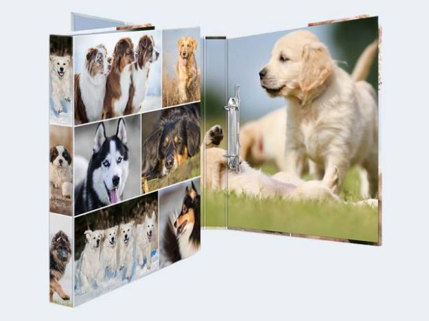 Bild von 1 Stück Ringbuch A4 Karton Hunde 2D - 19427