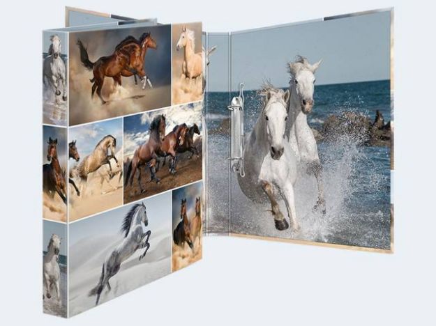 Bild von 1 Stück Ringbuch A4 Karton Pferde 2D - 19429