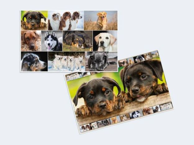 Bild von Schreibunterlage Hund 55x35cm - 19378