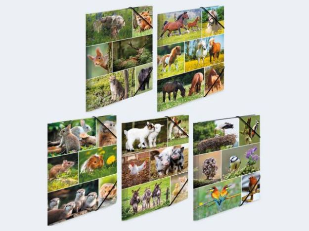 Bild von 10 Sammelmappen A3 Karton Tierwelten 5 Motive - 19450