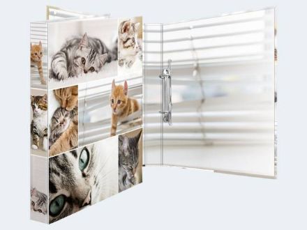 Zeige Details für 1 Stück Ringbuch A4 Karton Katzen 2D - 19428 Bild von 1 Stück Ringbuch A4 Karton Katzen 2D - 19428