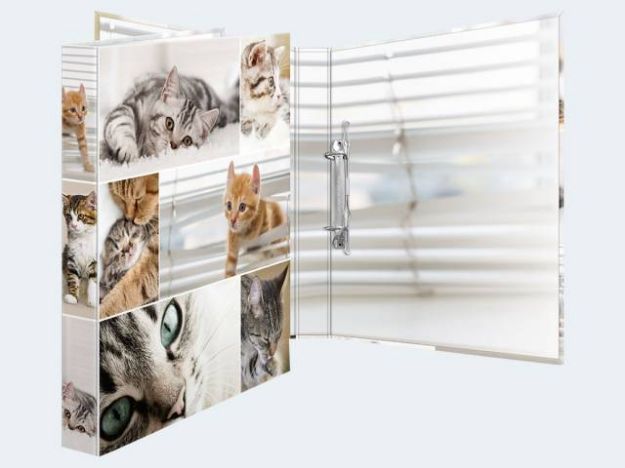 Bild von 1 Stück Ringbuch A4 Karton Katzen 2D - 19428