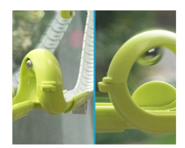 Bild von Kosmos Gecko Run, Looping - 620981