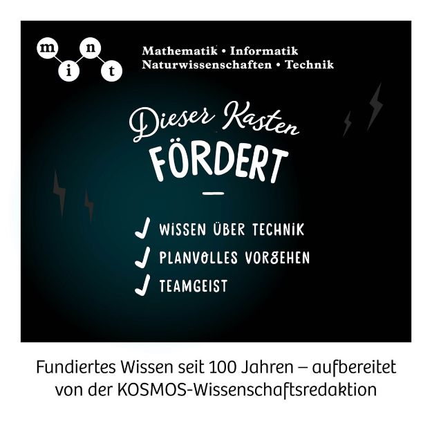 Bild von Boxing-Bots 2 Roboter/Joystick/Hydrauliktechnik 8+