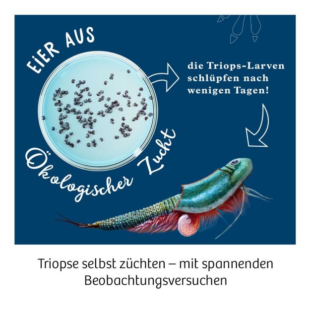 Bild von Kosmos Triops-Welt - 633073