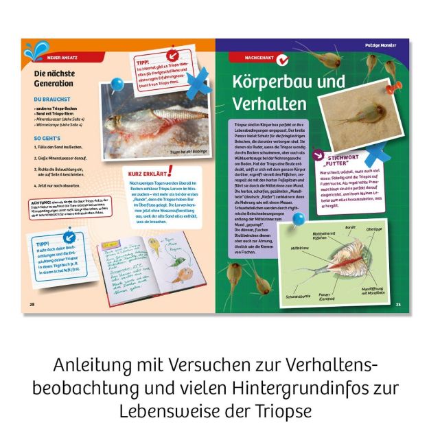 Bild von Kosmos Triops-Welt - 633073