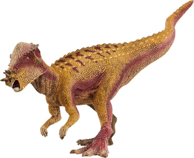 Bild von schleich® Dinosaurs 15024 Pachycephalosaurus