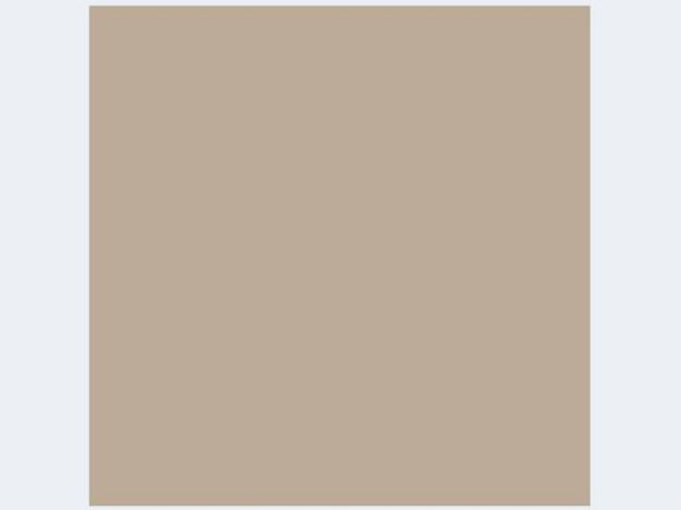 Bild von 20 Servietten 33x33 taupe - 1012-0016