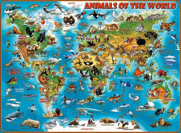 Bild von Ravensburger 13257 Puzzle Tiere rund um die Welt 300 Teile XXL
