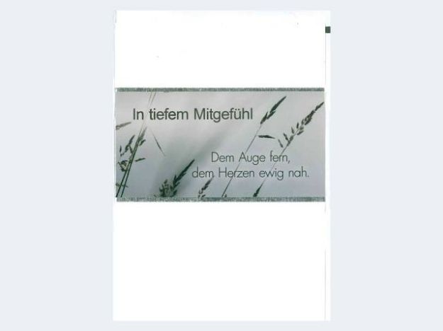 Bild von Trauer schlicht Gräser - Eine Verkaufseinheit = 5 Stück - 81-1164