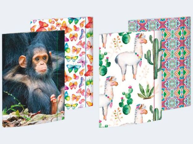 Bild von 11+1 Gummizugmappe A4  Motive Karton - 46110