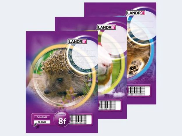 Bild von Heft A5/16 Lin rautiert mR Landre - Eine Verkaufseinheit = 10 Stück - 100050074