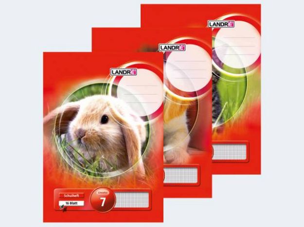 Bild von Heft A4/16 Lin7 7mm kariert Landre - Eine Verkaufseinheit = 10 Stück - 100050033