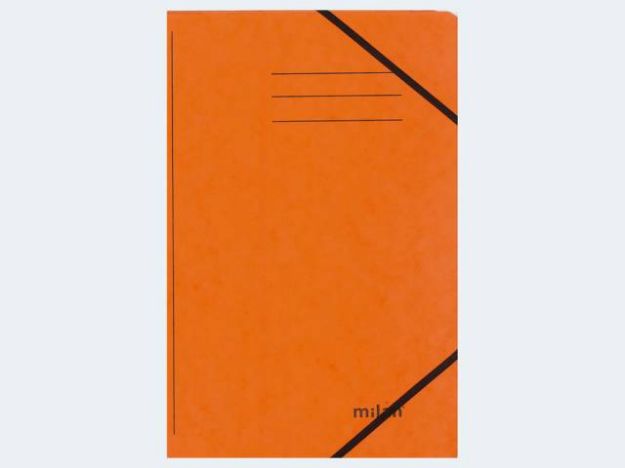 Bild von Jurismappe A4 orange intensiv Farben - 796040